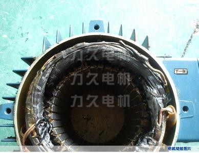 電機繞組燒毀 電機繞組燒毀