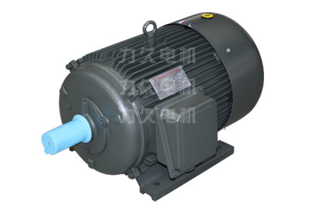 TYG永磁同步電機 TYG永磁同步電機