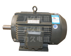 YX3系列高效電機(jī) YX3系列高效電機(jī)