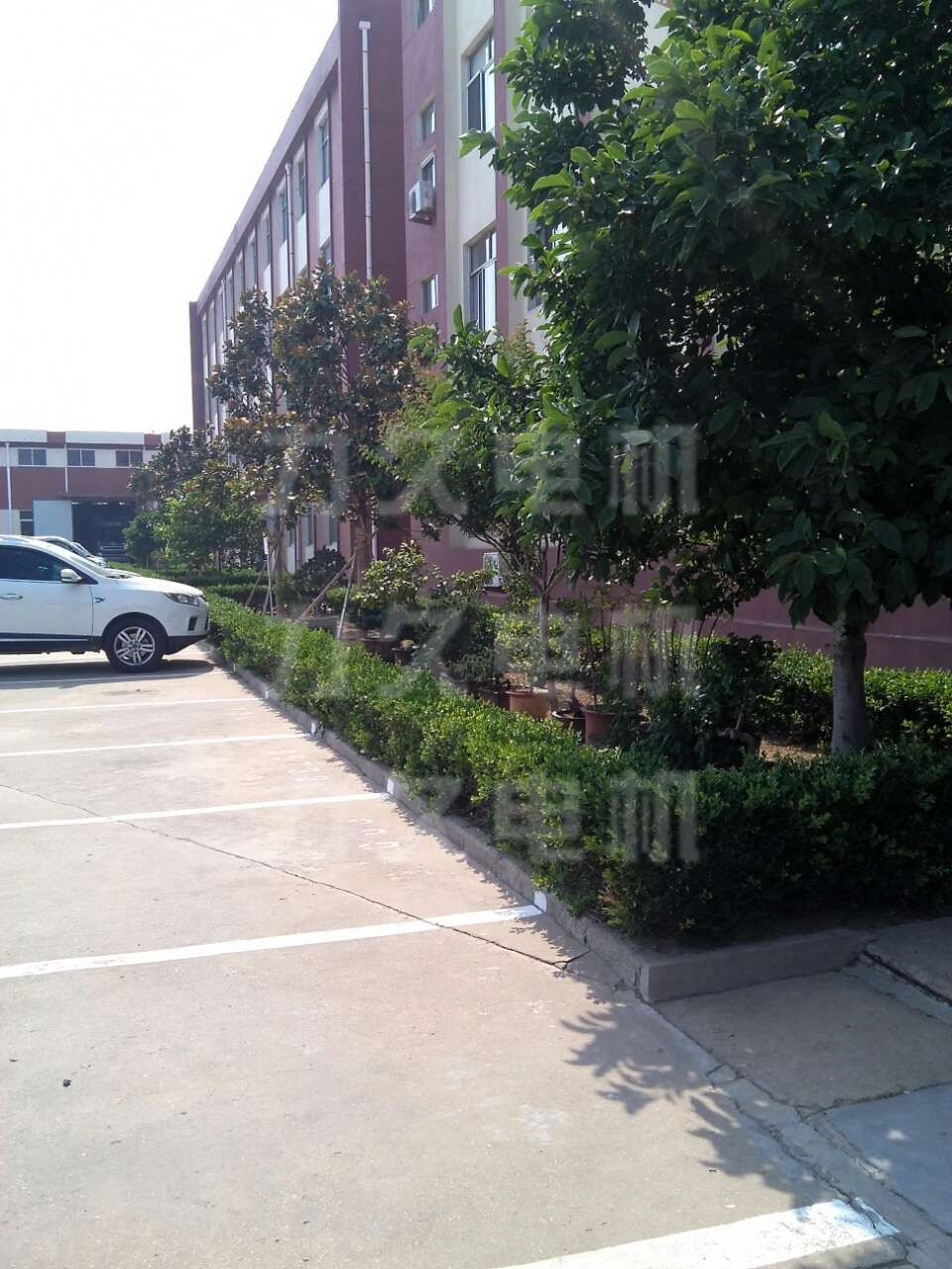 力久電機辦公樓前綠化帶 力久電機辦公樓前綠化帶