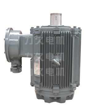 TYPL永磁變頻電機(jī) TYPL永磁變頻電機(jī)