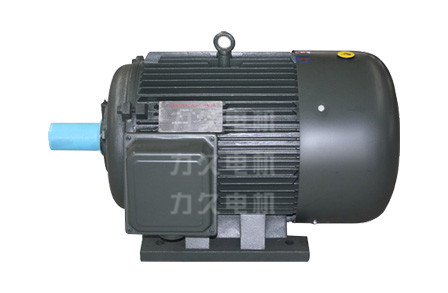 TYG系列高效永磁電機 TYG系列高效永磁電機