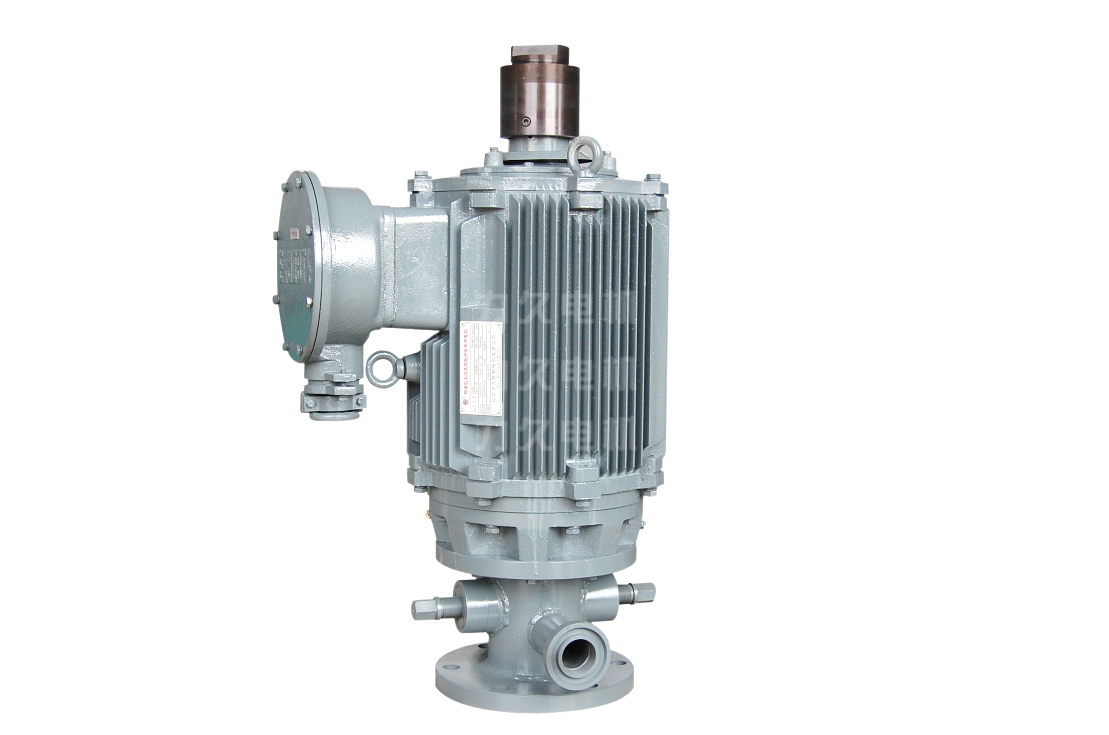 稀土永磁電機之TYPLM系列 稀土永磁電機之TYPLM系列