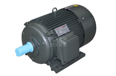 TYG系列高效永磁同步電動機 TYG系列高效永磁同步電動機