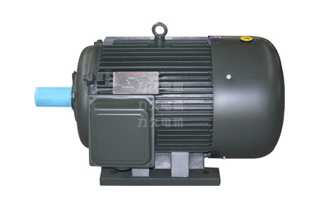 TYG系列高啟動轉(zhuǎn)矩高效永磁同步電機(jī) TYG系列高啟動轉(zhuǎn)矩高效永磁同步電機(jī)