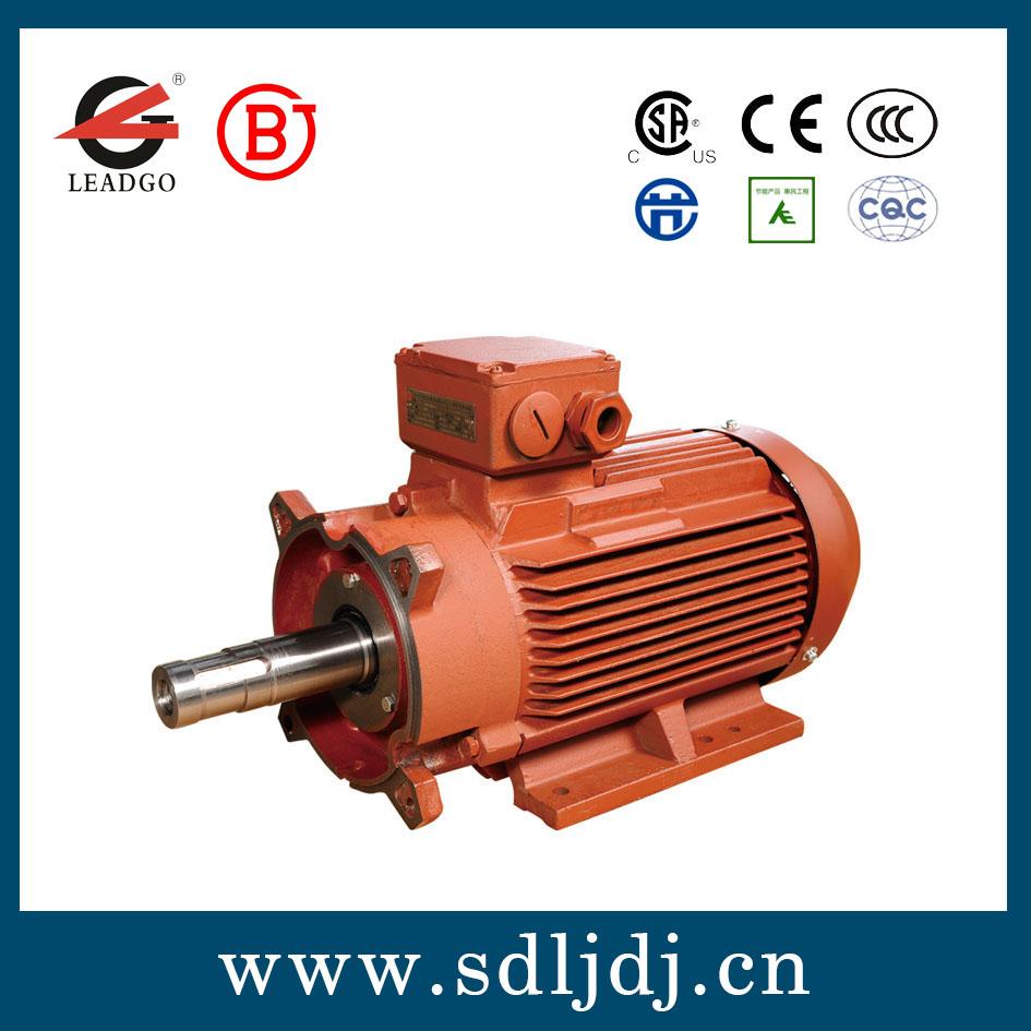 水泵電機/真空泵專用電機 水泵電機/真空泵專用電機