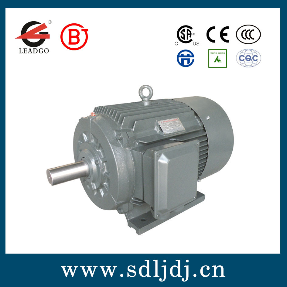 TYJX高效永磁同步電機(jī) TYJX高效永磁同步電機(jī)