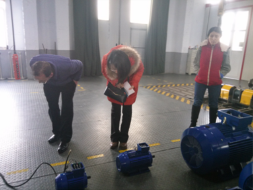 YX3系列高效電機工廠審查 YX3系列高效電機工廠審查