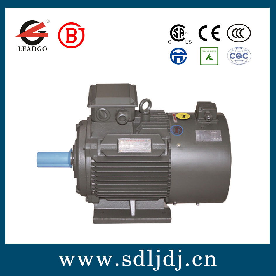 永磁變頻電機(jī) 永磁變頻電機(jī)