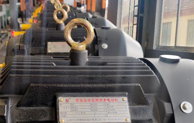 永磁電機 永磁電機