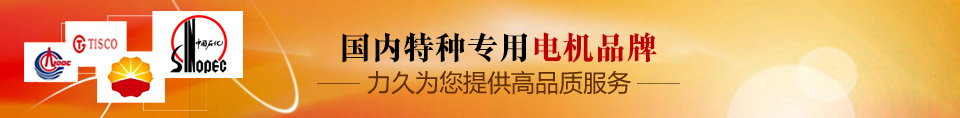 力久——特種專用電機(jī)品牌! 力久——特種專用電機(jī)品牌!