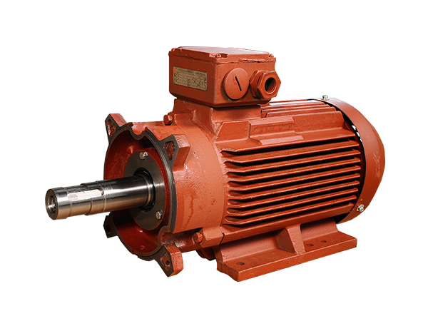 P3真空泵用三相異步電動(dòng)機(jī) P3真空泵用三相異步電動(dòng)機(jī)