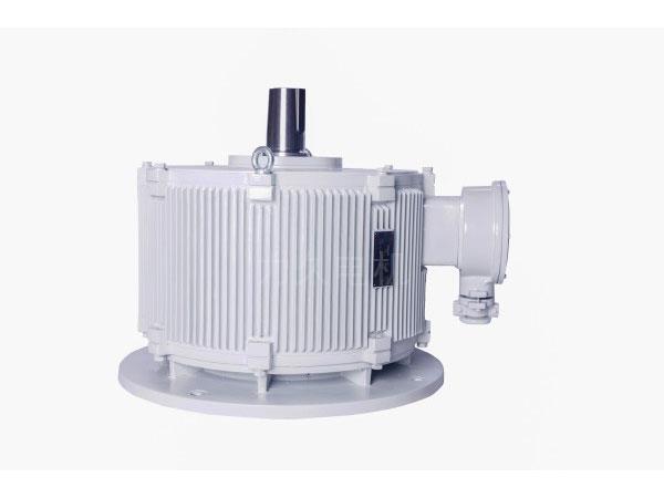 DZTYP系列冷卻塔用永磁變頻直驅電動機