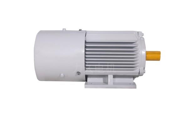 YVP系列變頻調(diào)速三相異步電動機 YVP系列變頻調(diào)速三相異步電動機