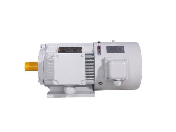 YVP系列變頻調(diào)速三相異步電動(dòng)機(jī) YVP系列變頻調(diào)速三相異步電動(dòng)機(jī)