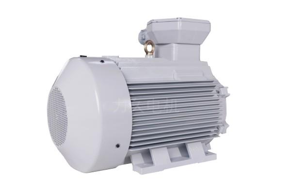 YBX5系列高效率隔爆型三相異步電動機 YBX5系列高效率隔爆型三相異步電動機