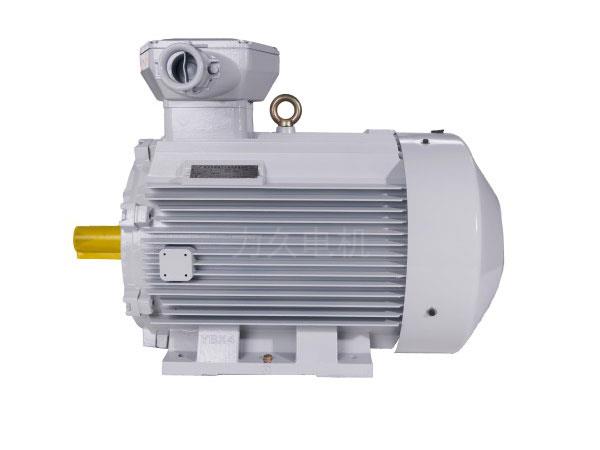 YBX5系列高效率隔爆型三相異步電動機 YBX5系列高效率隔爆型三相異步電動機
